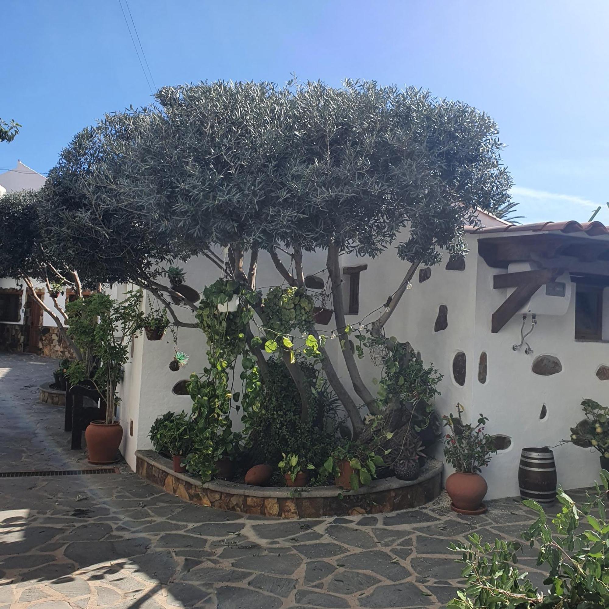 La Gallania De Papa Pepe Santa Lucía Esterno foto