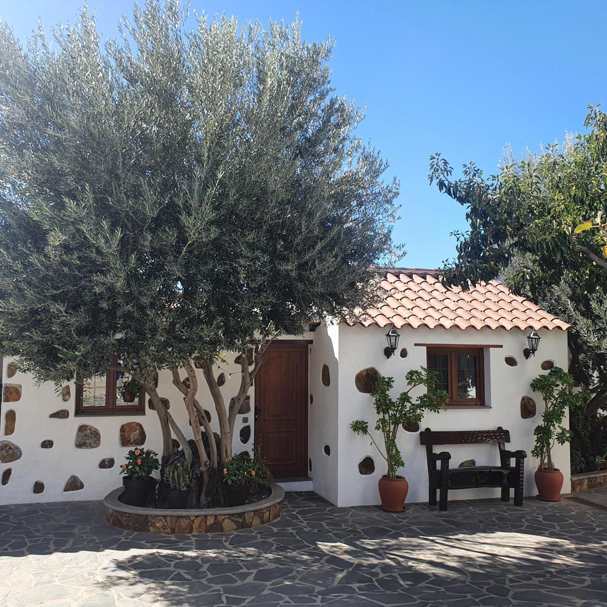 La Gallania De Papa Pepe Santa Lucía Esterno foto